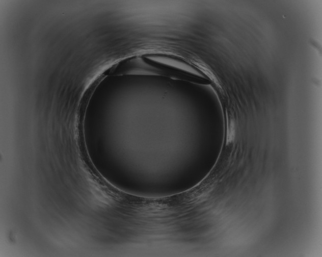 X0000095680387200801221230