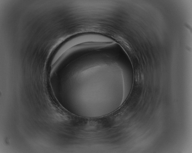 X0000095680388200801221230