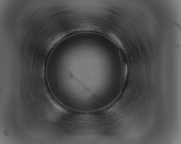 X0000095680389200801221230