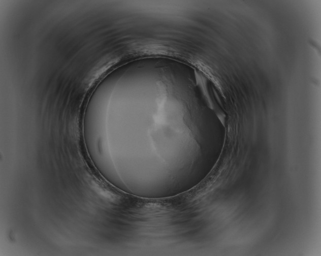 X0000095680390200801221230