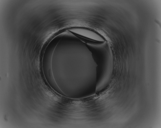 X0000095680391200801221230