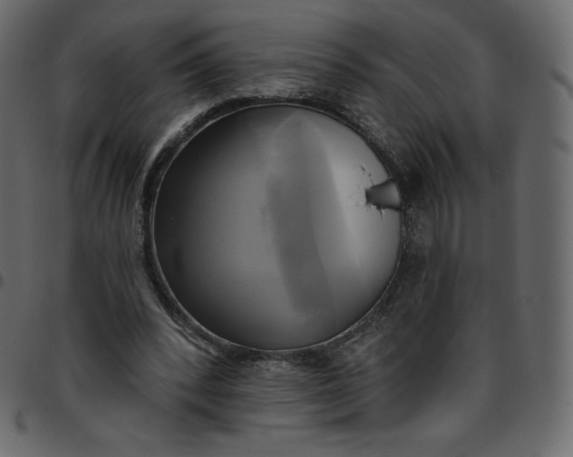 X0000095680392200801221230