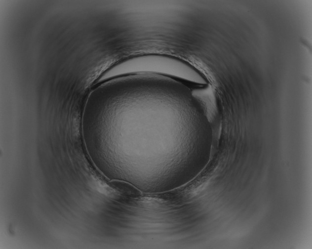 X0000095680393200801221230