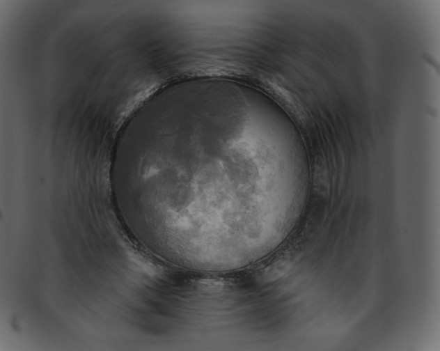 X0000095680394200801221230