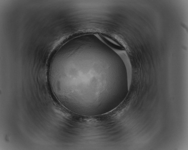 X0000095680395200801221230