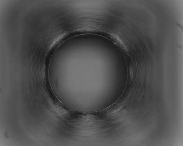 X0000095680396200801221230