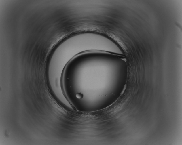 X0000095680399200801221230