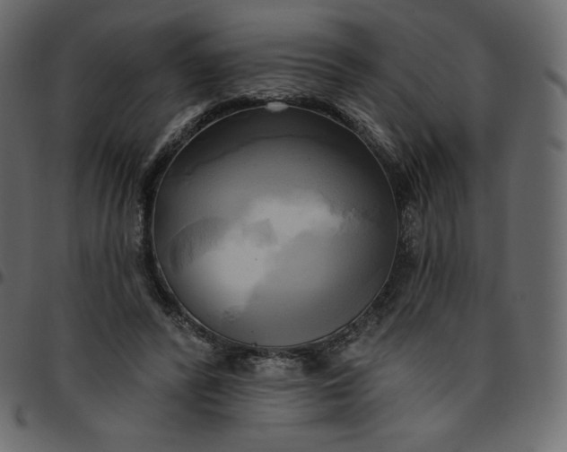 X0000095680400200801221230