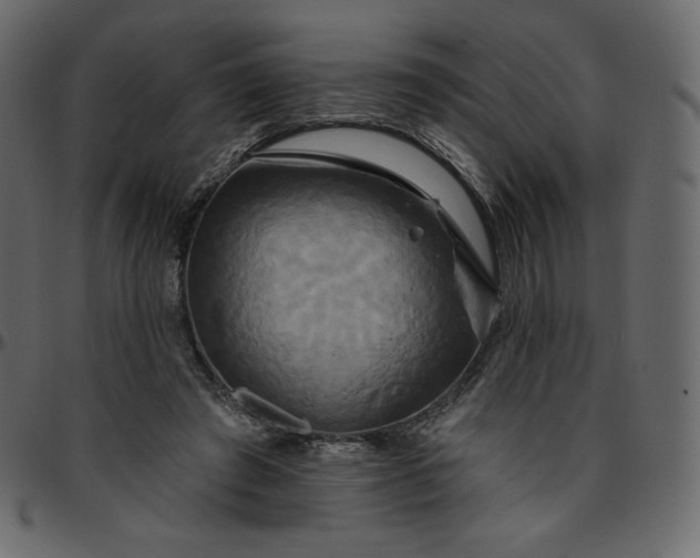 X0000095680401200801221230