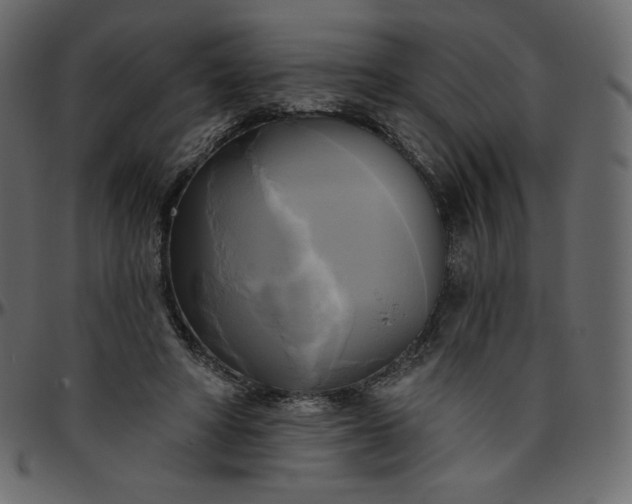 X0000095680402200801221230