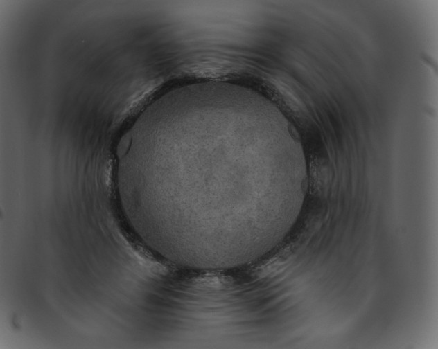 X0000095680404200801221230