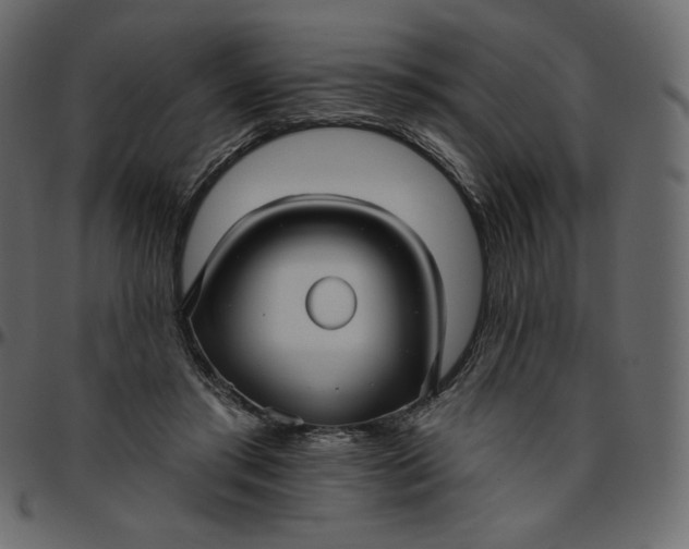 X0000095680405200801221230