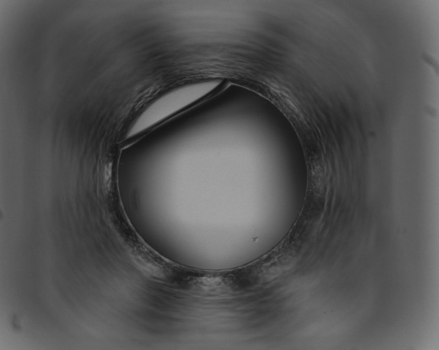 X0000095680406200801221230