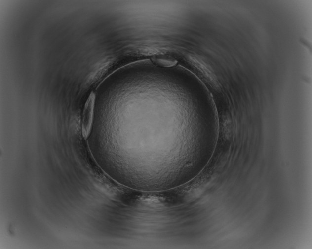 X0000095680407200801221230