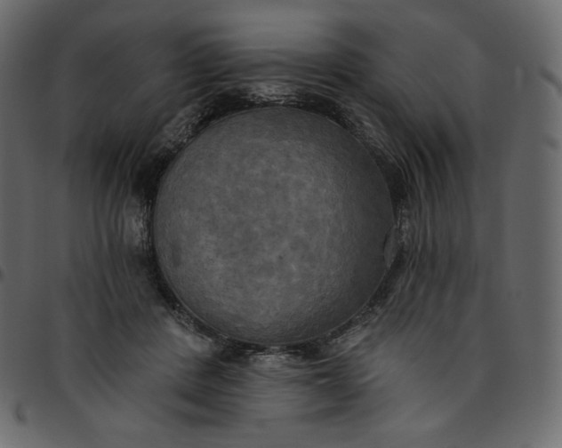 X0000095680408200801221230