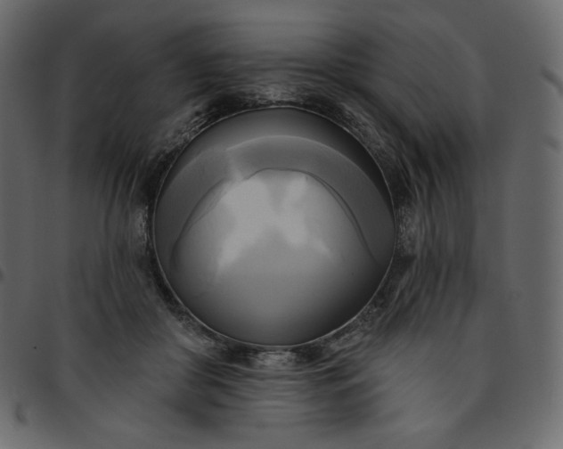 X0000095680410200801221230