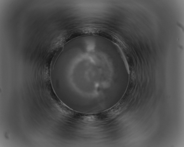 X0000095680411200801221230