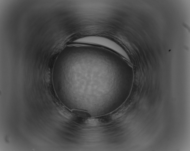 X0000095680413200801221230