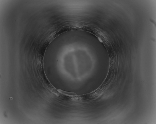 X0000095680415200801221230