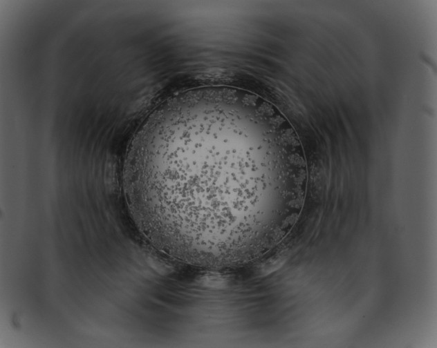 X0000095680416200801221230