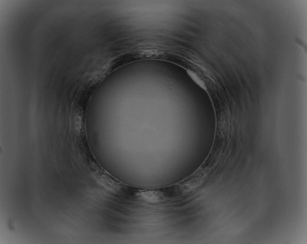 X0000095680417200801221230