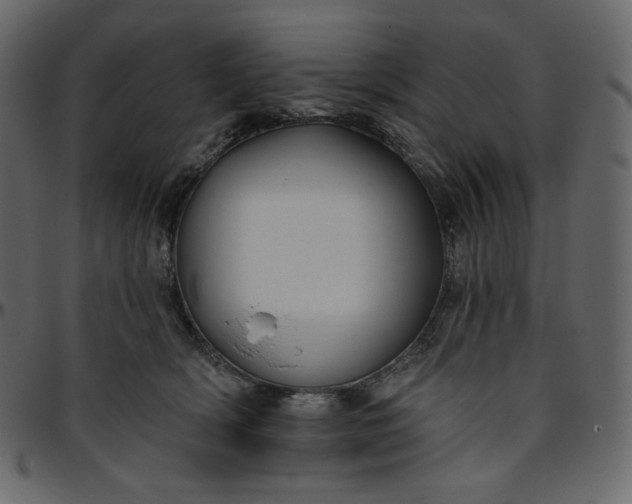 X0000095680418200801221230