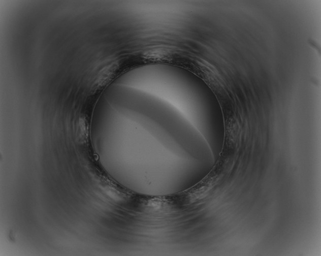 X0000095680420200801221230