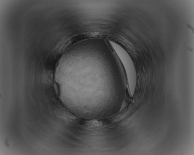 X0000095680421200801221230