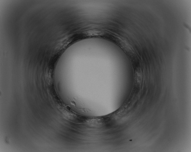 X0000095680422200801221230