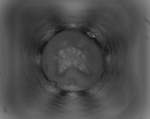 X0000095680423200801221230