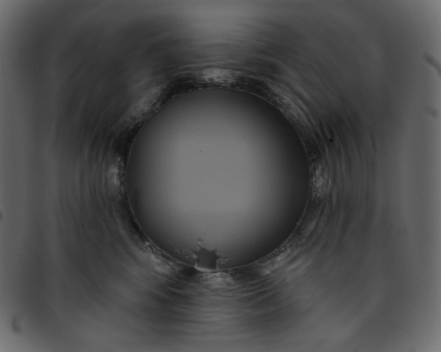 X0000095680424200801221230