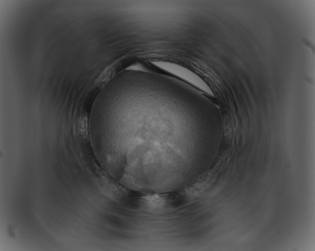 X0000095680425200801221230