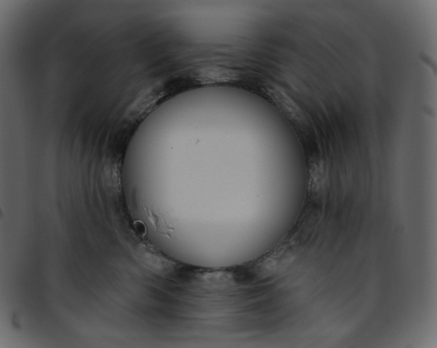 X0000095680426200801221230