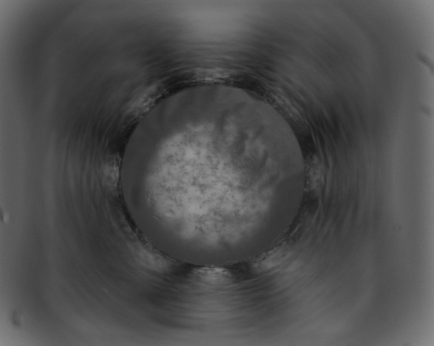 X0000095680427200801221230