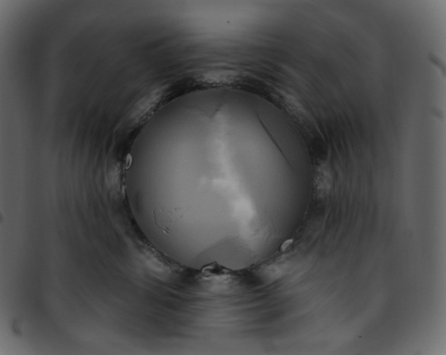 X0000095680428200801221230