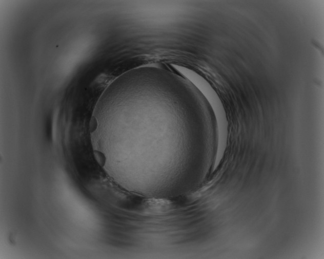 X0000095680429200801221230