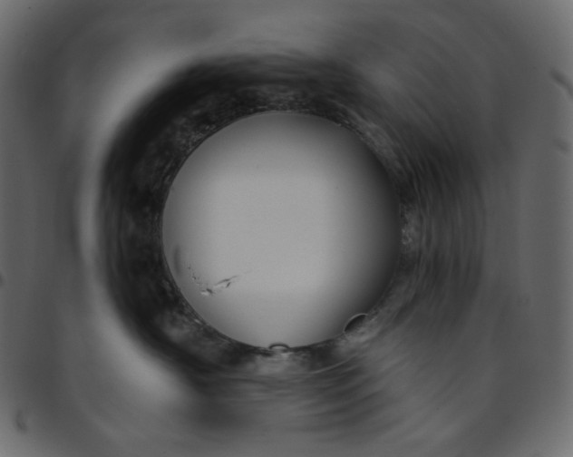 X0000095680430200801221230