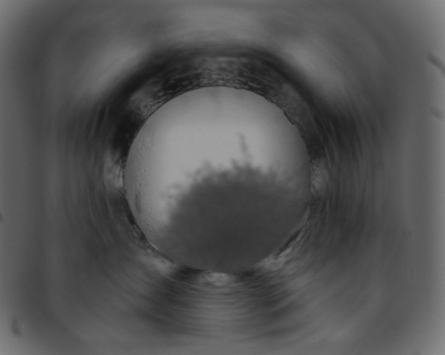 X0000095680431200801221230