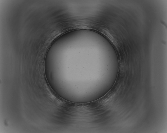 X0000095680433200801221229