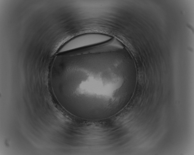 X0000095680434200801221229