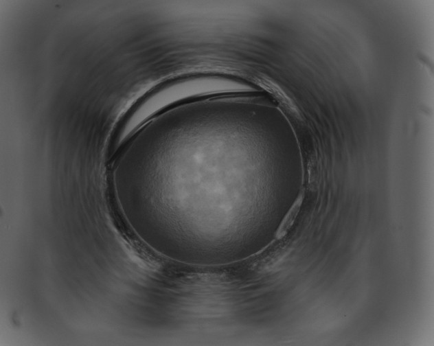 X0000095680436200801221229