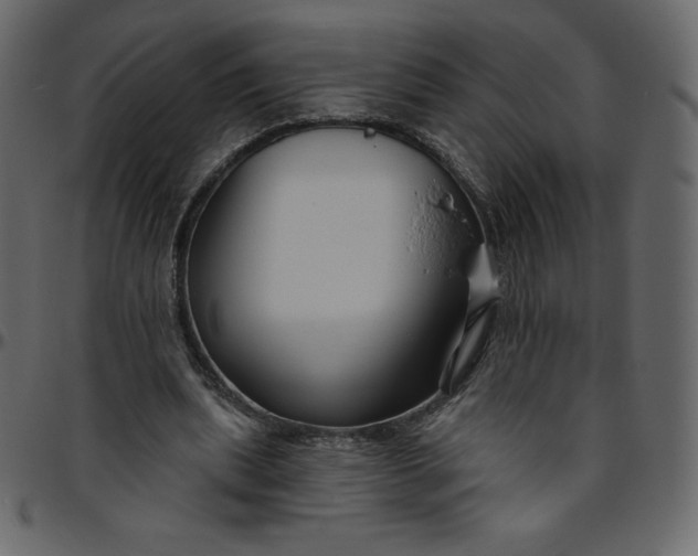 X0000095680439200801221229