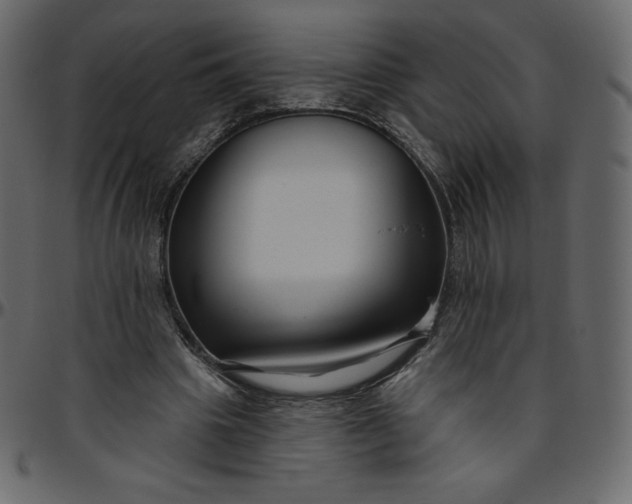 X0000095680441200801221229