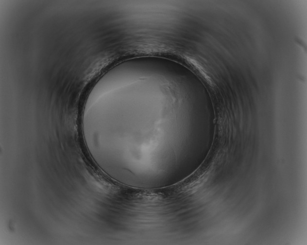 X0000095680443200801221229