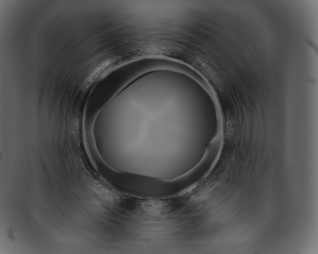 X0000095680444200801221229