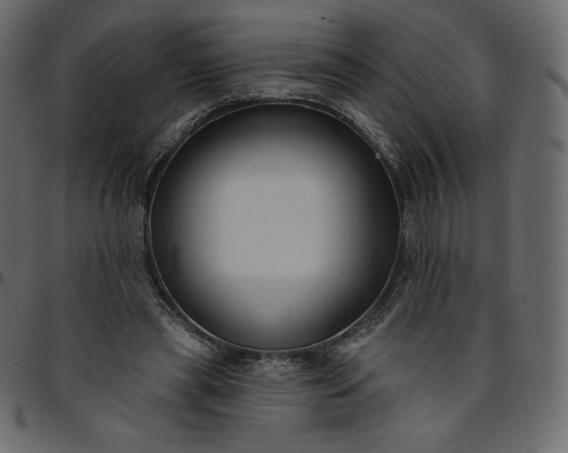 X0000095680445200801221229