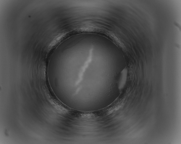 X0000095680446200801221229