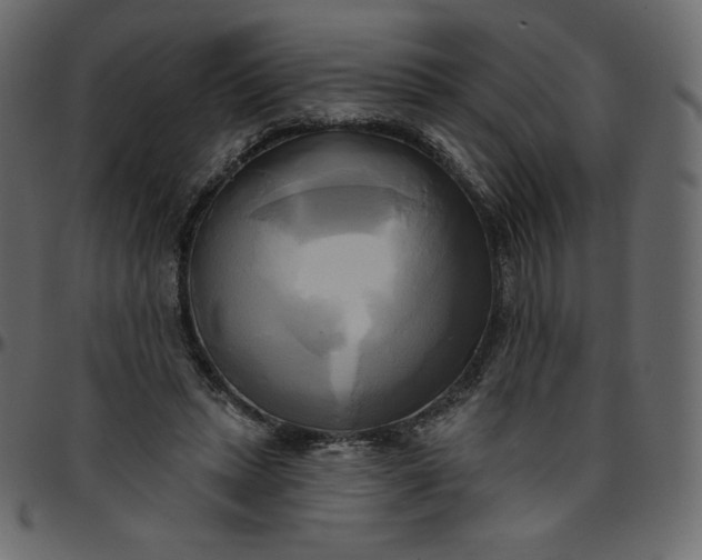 X0000095680447200801221229