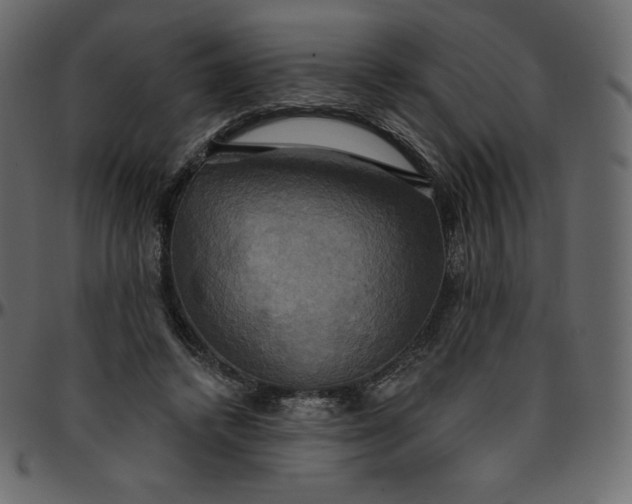 X0000095680448200801221229