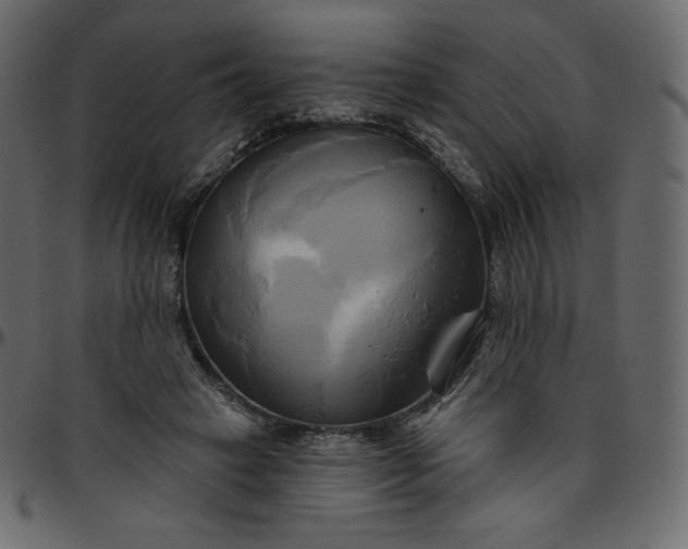 X0000095680449200801221229